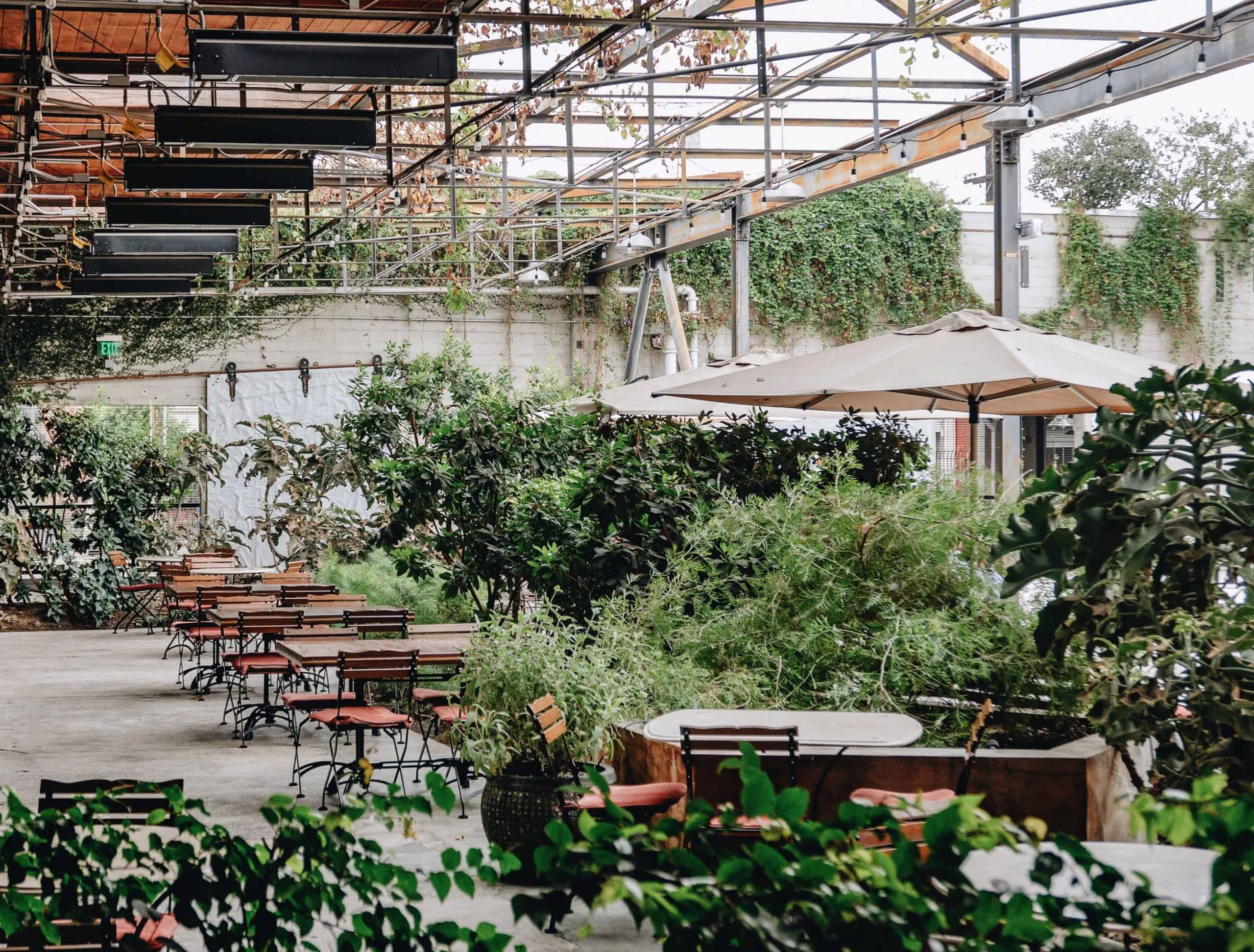 Manuela outdoor dining area full of foliage