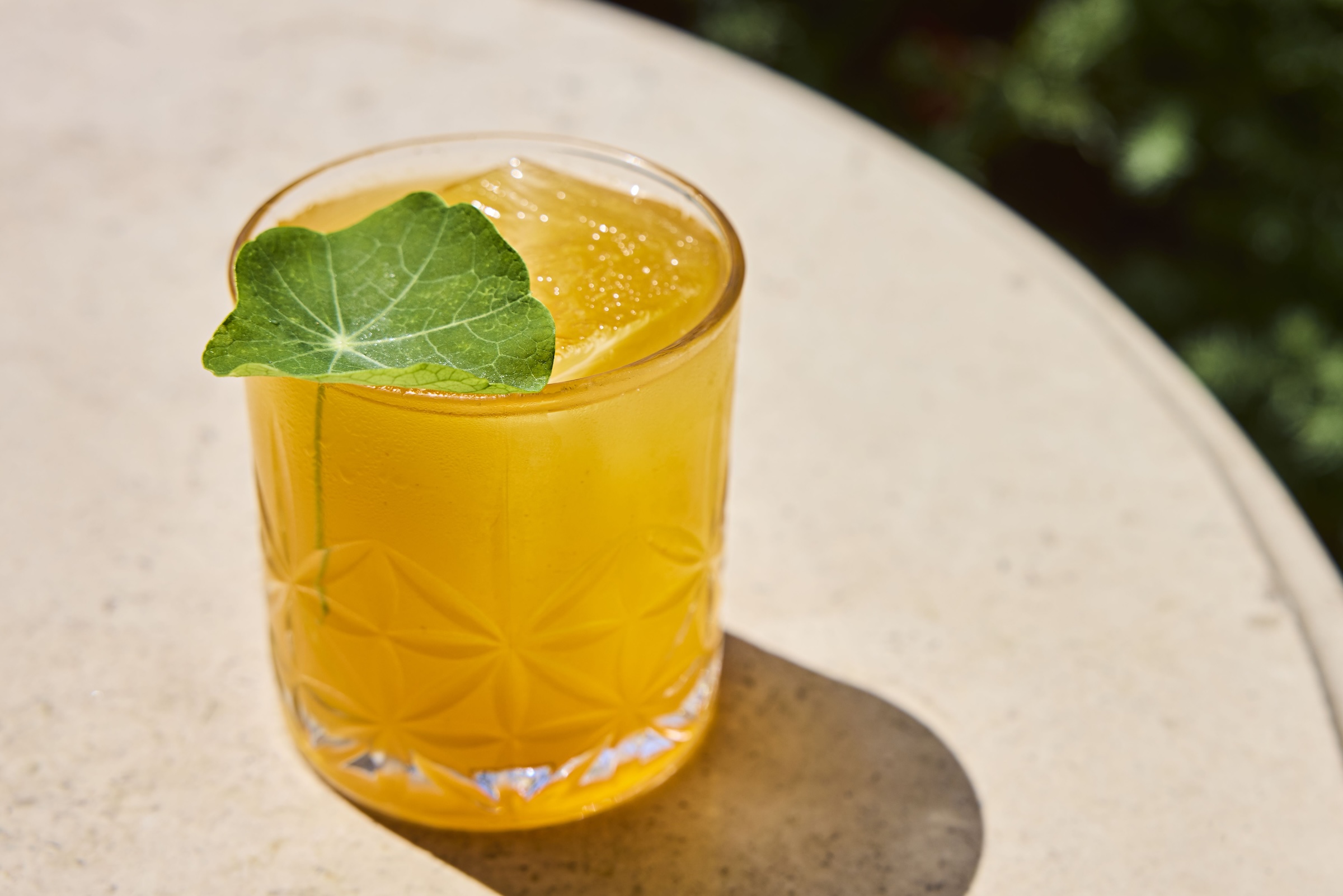 A glass of orange cocktail garnished with a green leaf, served on a light-colored table in bright sunlight.