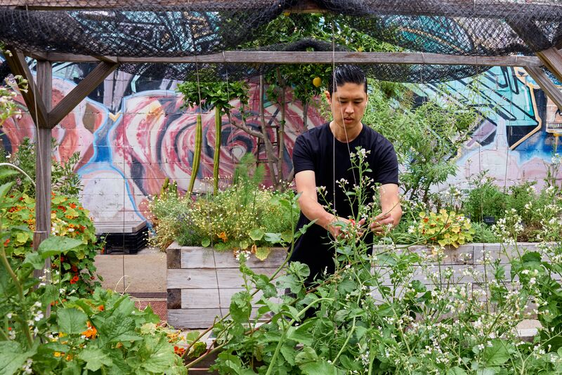 A member of staff working in the garden surrounded by leafy plants and flowers, with a colorful graffiti-covered wall in the background.
