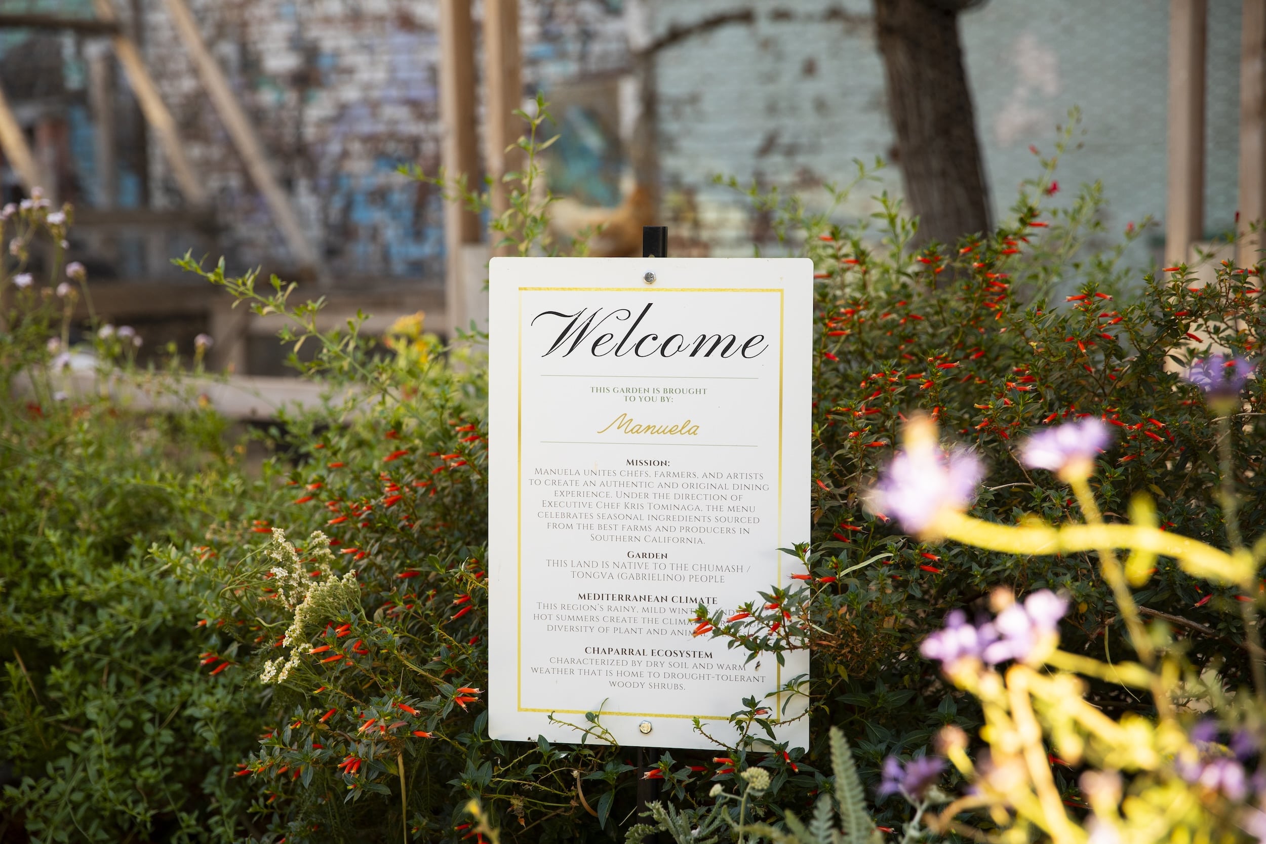 A welcome sign placed amide a bush with small red flowers. There are other green bushes around it and the structure of a chicken coop in the foreground.