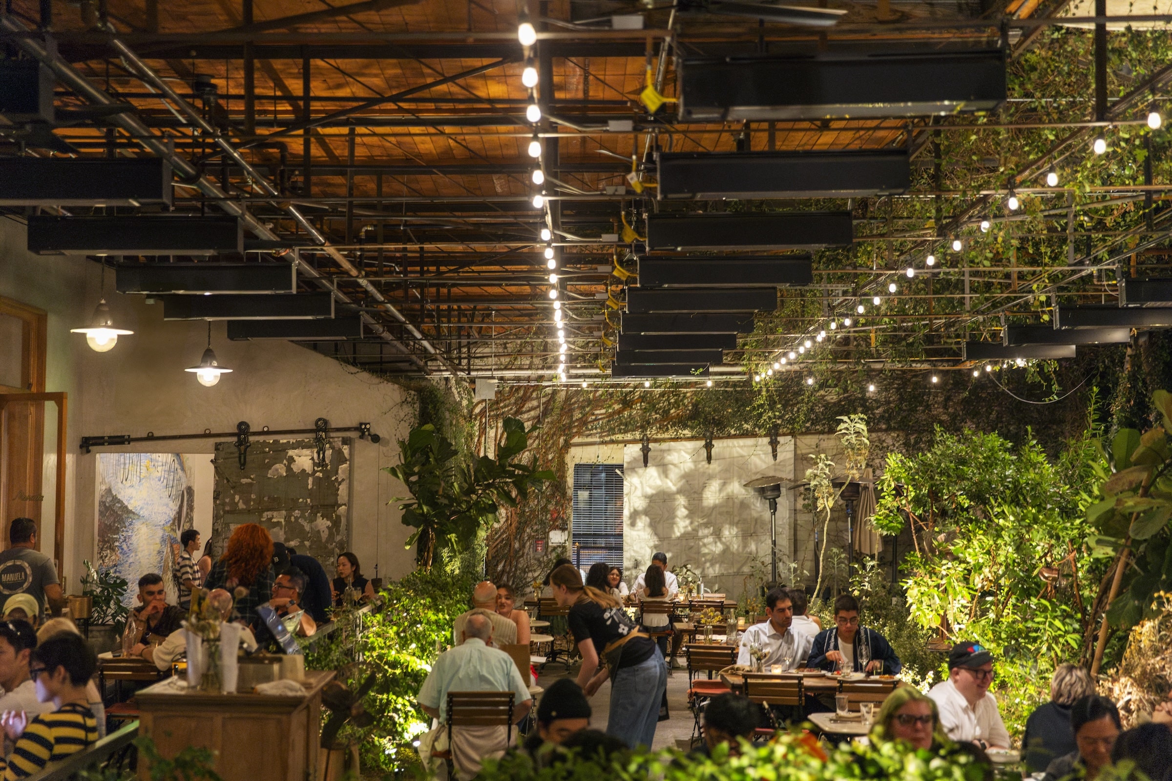 Manuela interior at dinner service. Guests are seated surrounded by greenery and lit overhead with stringlights.