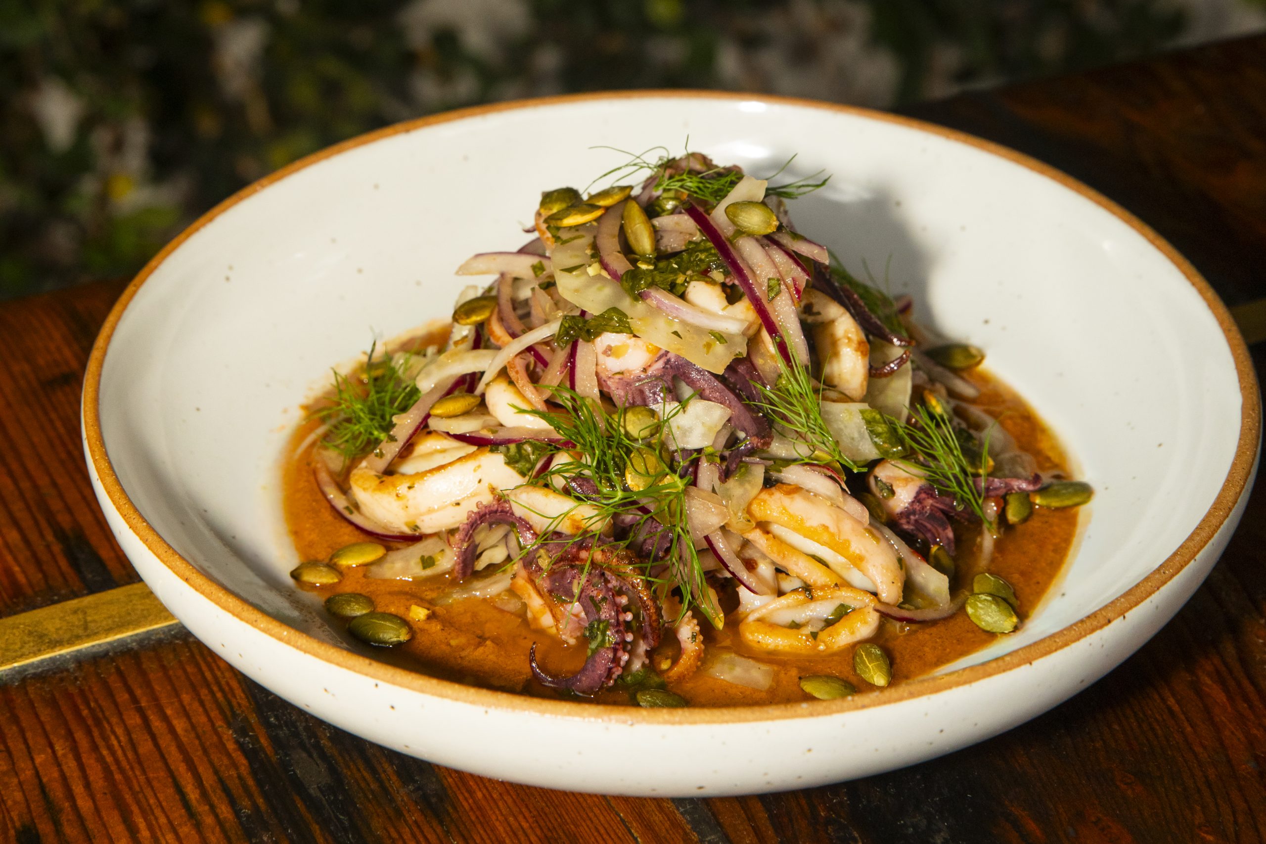 pepita romesco, Italian salsa verde, shaved fennel, red onion