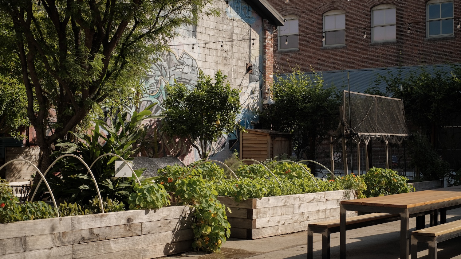 Garden area at Manuela in the spring with new green growth in box gardens and green trees.