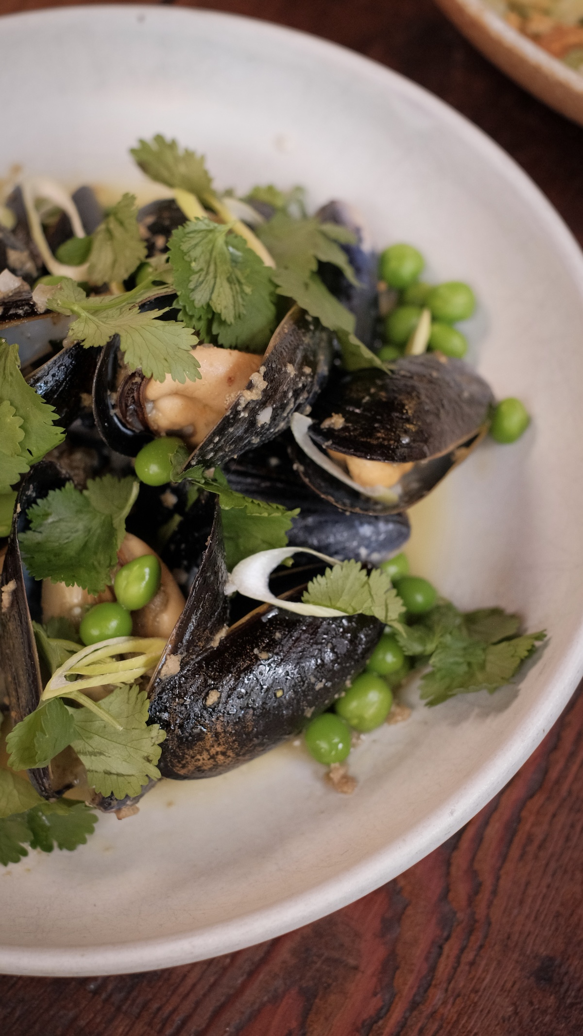 A close up of a white, shallow bowl full of mussels and peas in a light broth, garnished with cilantro leaves.