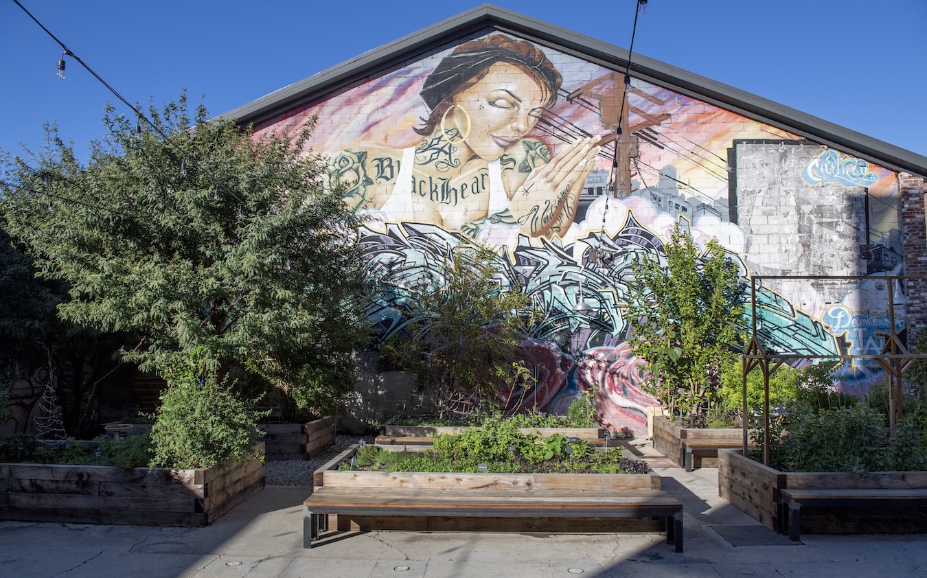 Garden boxes full of growing herbs and green trees in front of a wall of a painted mural.
