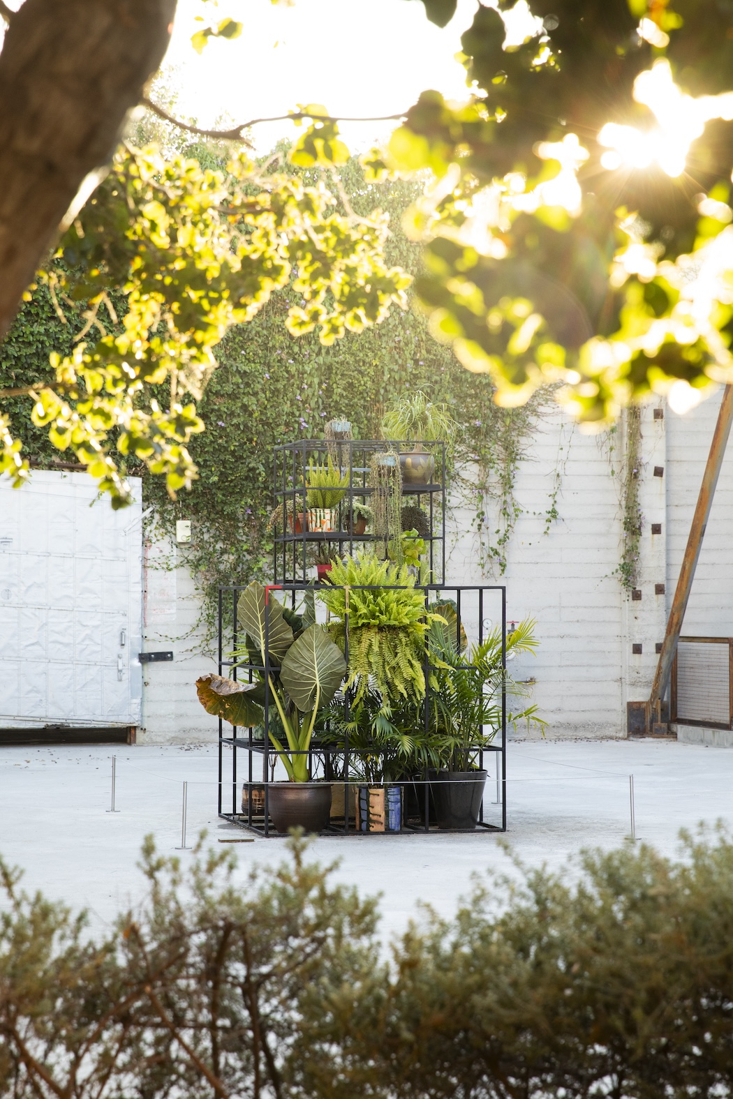 A sculpture with various levels of potted plants in the middle of a courtyard. The sculpture is framed by trees and sunlight.