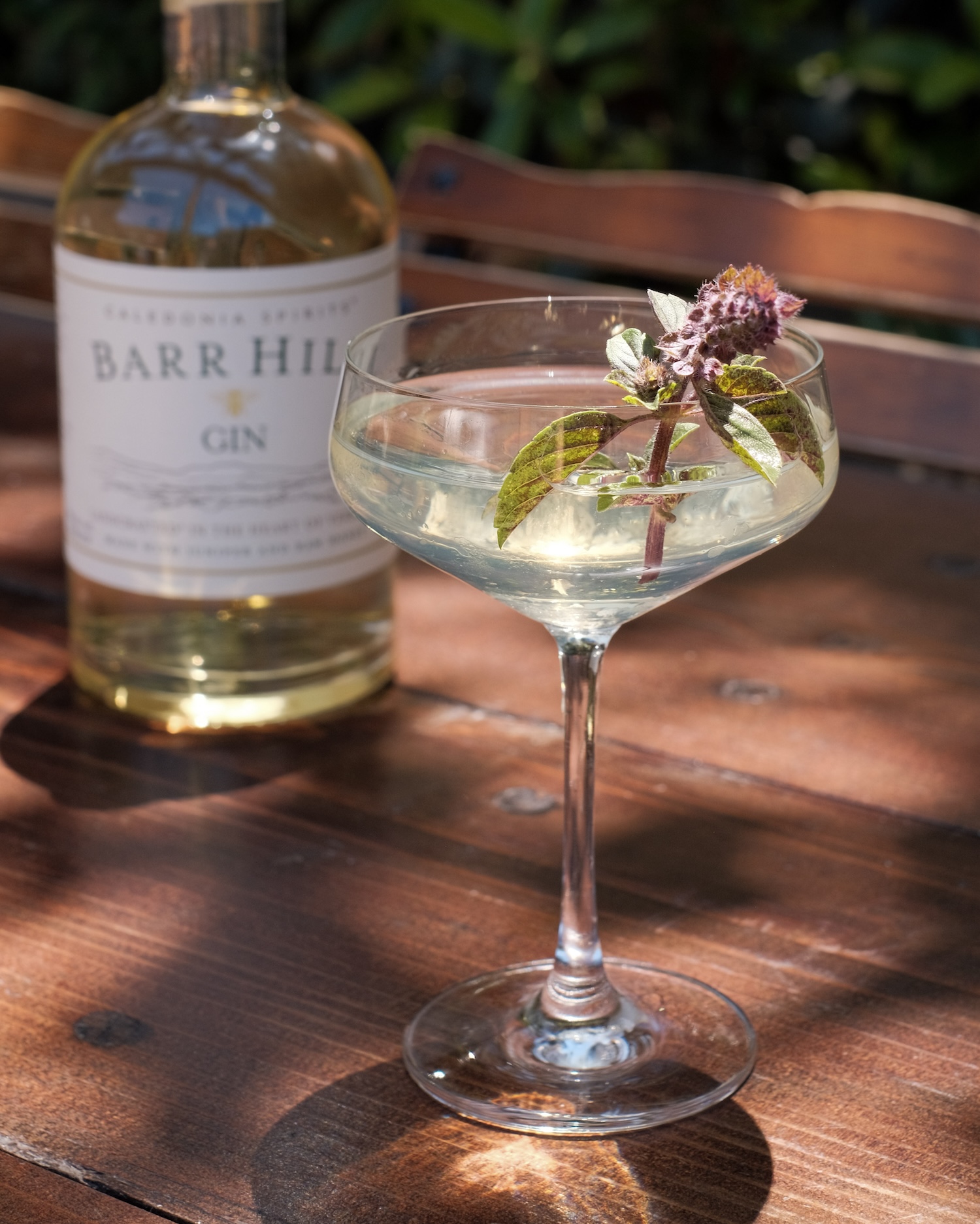 Clear cocktail in a coupe glass garnished with a purple flower with a Bar Hill Gin bottle behind it.