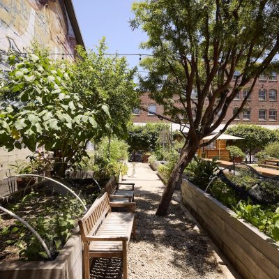 A side shot of Manuela's garden full of box gardens with greens, wooden benches, and fruit trees.