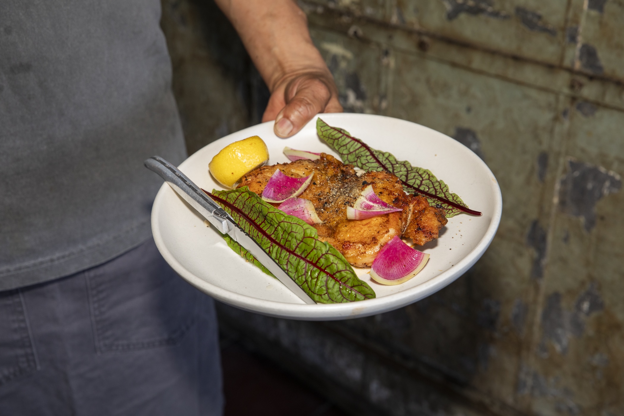 A hand holding a white plate with cooked chicken garnished with watermelon radishes and greens.