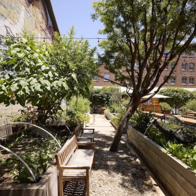 A side shot of Manuela's garden full of box gardens with greens, wooden benches, and fruit trees.