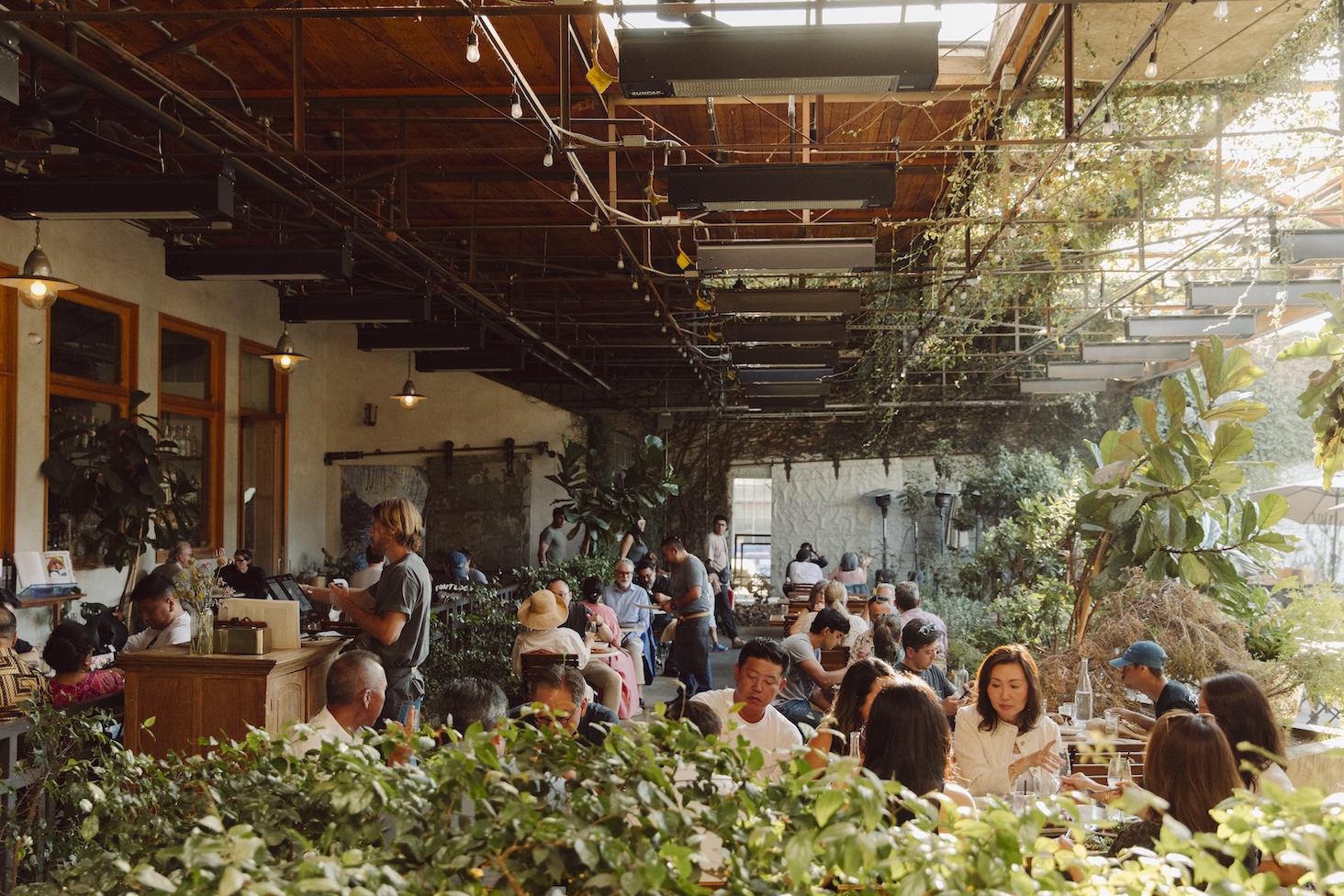 Interior of Manuela restaurant full of people and greenery. The interior opens up into an exterior courtyard, with a skylight above guests.