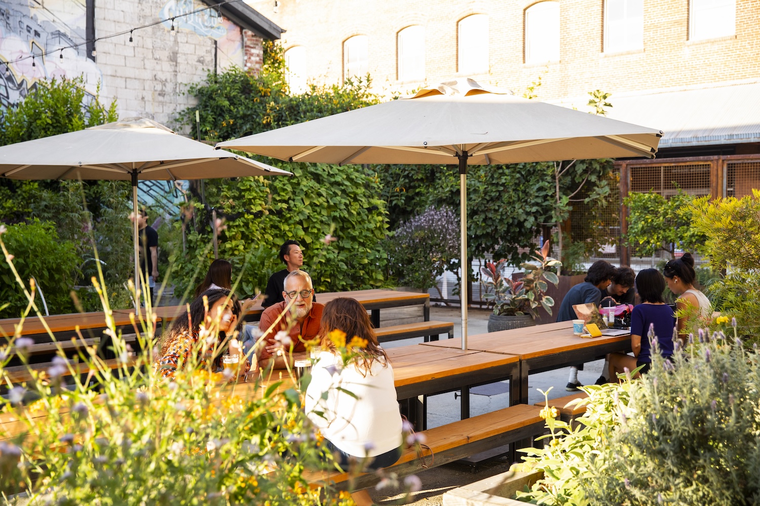 People sitting at a long table with umbrellas surrounded by green bushes. This is Manuela's garden area.