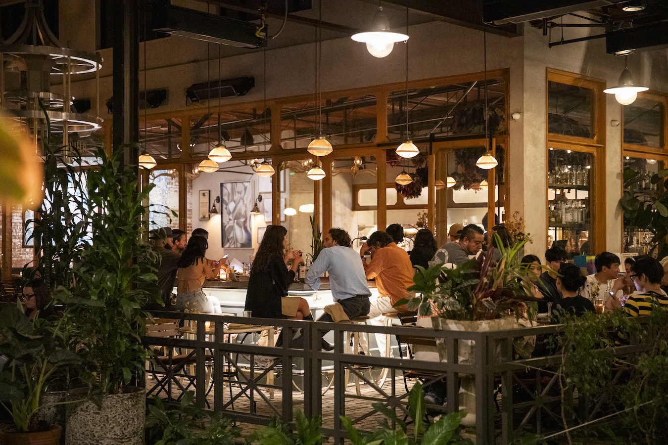 A busy bar at Manuela restaurant full of people surrounded by greenery and plants.