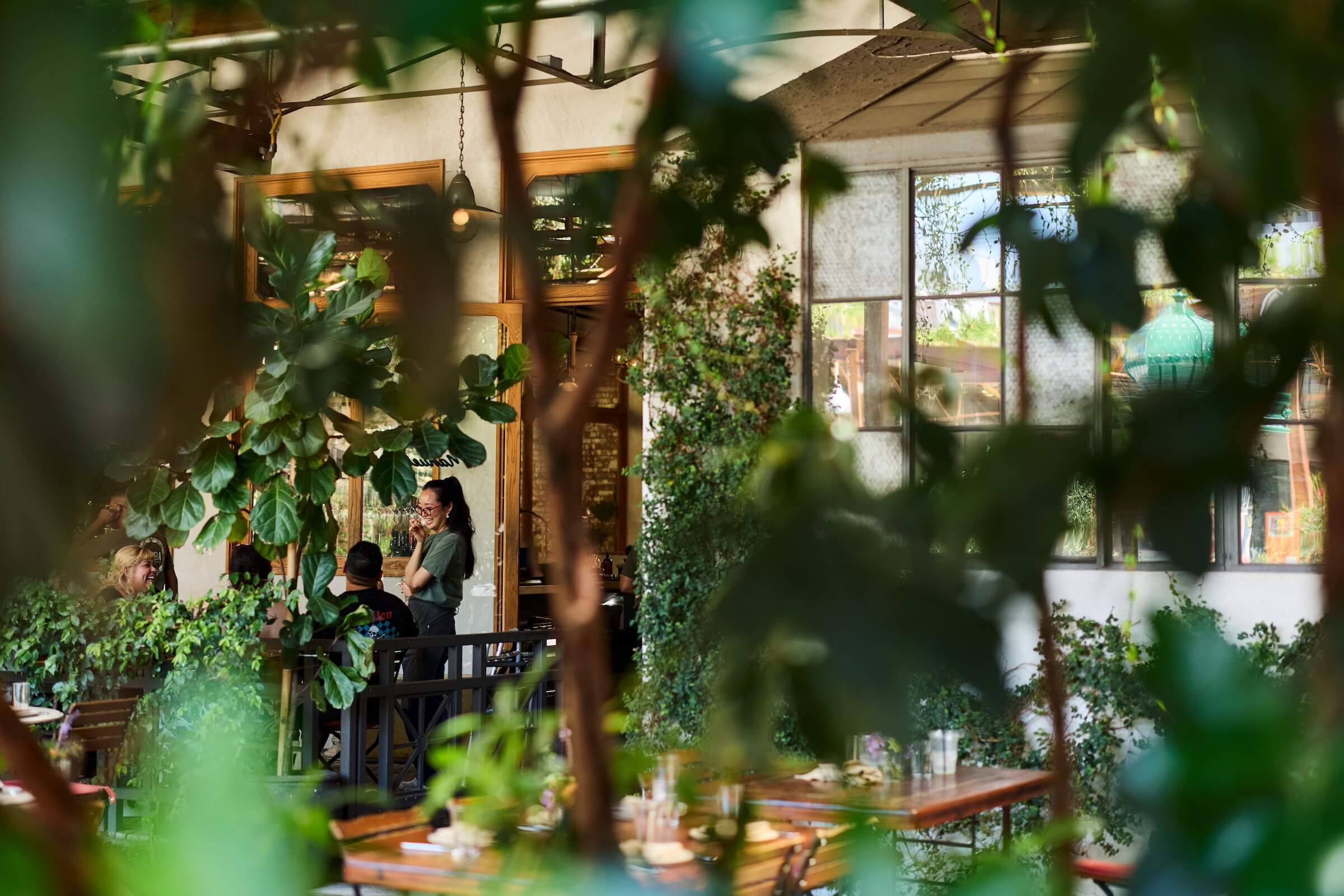A view of the courtyard through foliage blurred in the foreground