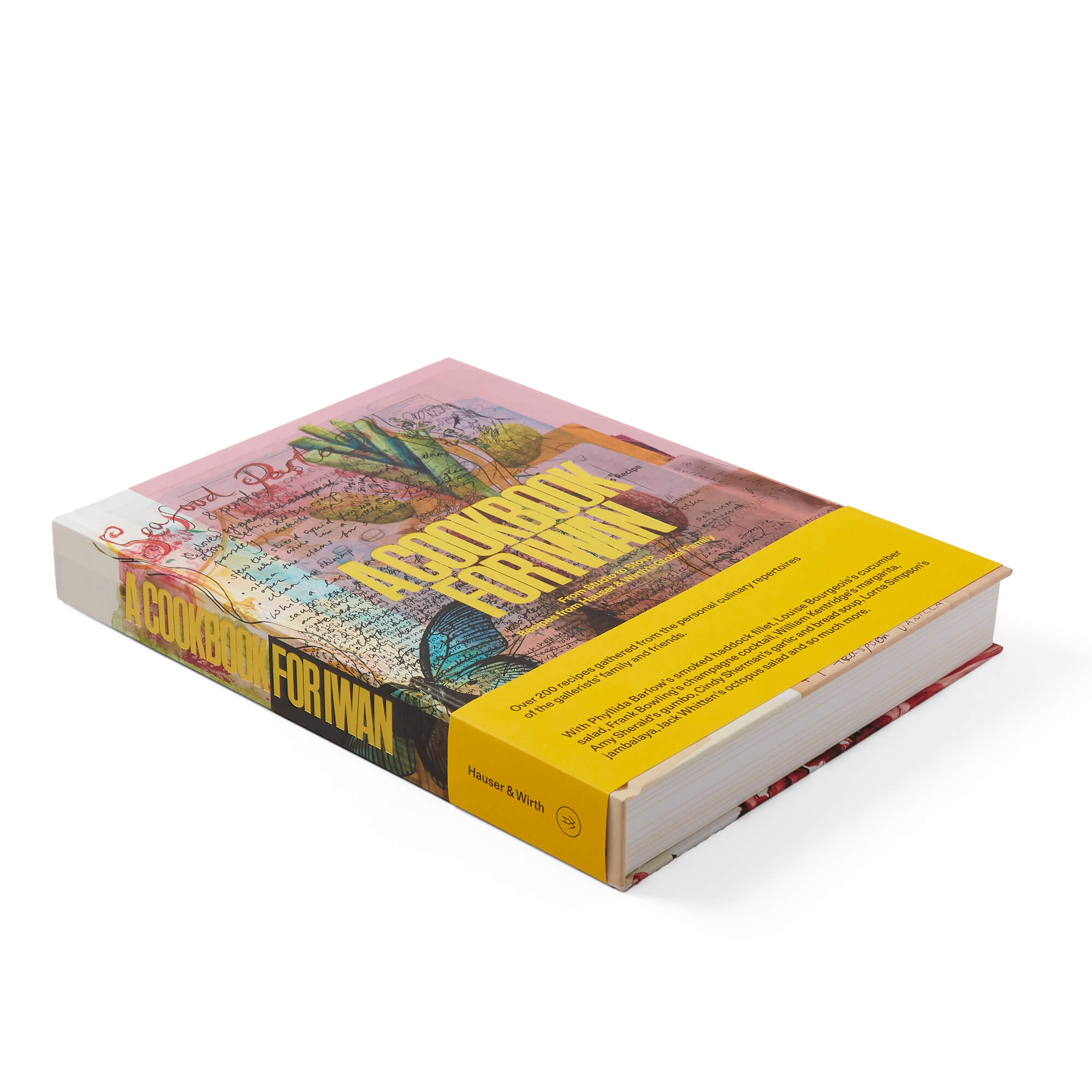 An angle of a product shot of a cookbook called A Cookbook for Iwan with a white background